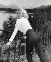 Marilyn Monroe jeans Meme Template
