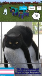 Someone’s temp Meme Template