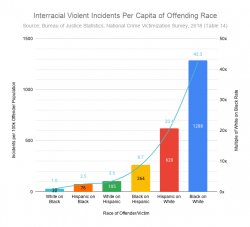 Interracial violence in USA / nationalvanguard.org Meme Template