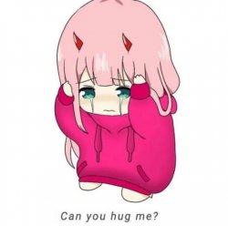 can you hug me zero two Meme Template