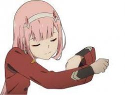 zero two blank hug Meme Template