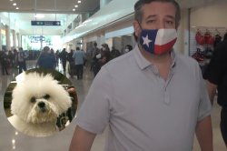 Snowflake y Ted Meme Template