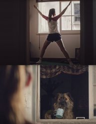 Dog Staring From the Window Meme Template