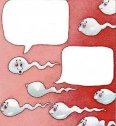 2 sperm talking Meme Template