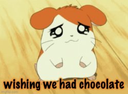 sad hamtaro wants chocolate Meme Template