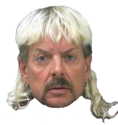 joe exotic Meme Template