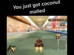 YOU JUST GOT COCONUT MALLED Meme Template