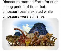Dinosaur fossils Meme Template