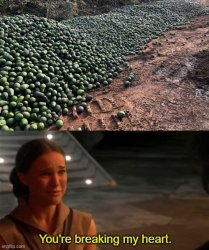 Avocado Padme Meme Template