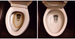 Toilet comparison Meme Template