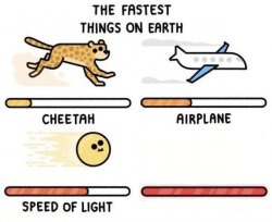 The fastest things on earth: cheetah, airplane, speed of light, Meme Template