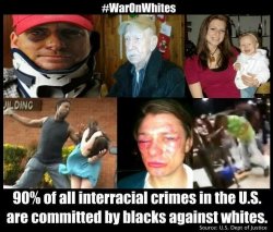 Interracial violence in USA / nationalvanguard.org / renegadetri Meme Template