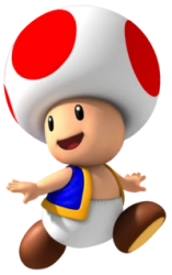 Toad Mario toadstool Meme Template