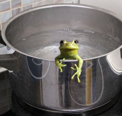 Frog in pot boiling water Meme Template