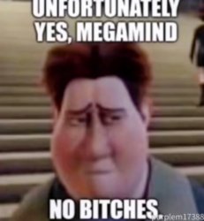 Unfortunately yes, Megamind no bitches Meme Template