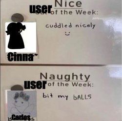 Nice and Naughty user of the week Meme Template