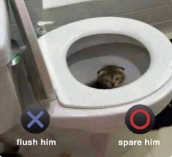 X Flush Him, O Spare Him Meme Template
