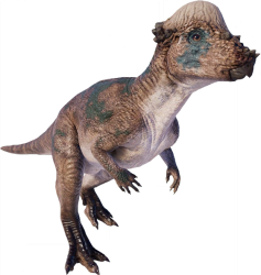 Pachycephalosaurus (TLW Design) Meme Template