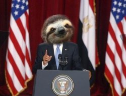 President sloth Meme Template