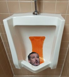 Ted Cruz urinal mouth Meme Template
