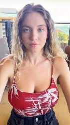 Sydney Sweeney Meme Template