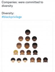 We're committed to diversity meme Meme Template