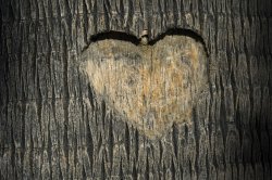 Tree Heart Carving Meme Template