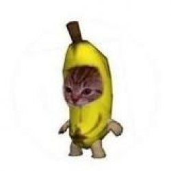 banana cat Meme Template