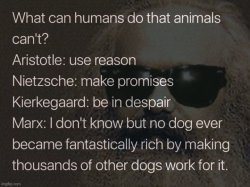 Marx quote dogs Meme Template