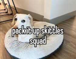 Homophobic dog Meme Template