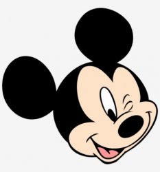 Mickey's first Diary Meme Template