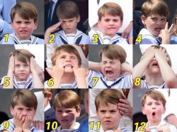 prince louis Meme Template