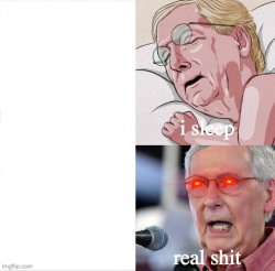 Sleeping Mitch Meme Template