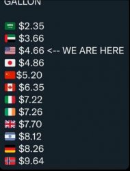 Worldwide gas prices Meme Template