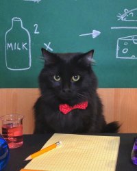 Chemistry Cat v2 Meme Template