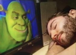 Shrek watching sleeping guy Meme Template