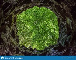 Hole in the woods. Meme Template