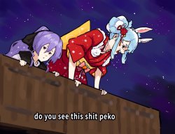 do you see this shit peko hololive Meme Template