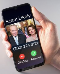 Scam likely Meme Template