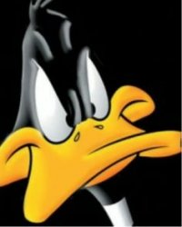 Daffy Meme Template