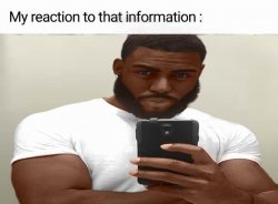 My reaction to that information Meme Template