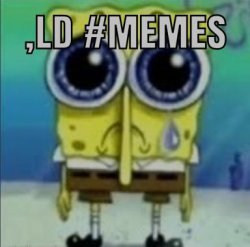 Lock #memes Spunch Bob Meme Template