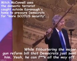 Mitch McConnell gun control troll Meme Template