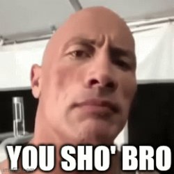 The rock, you sho' bro Meme Template