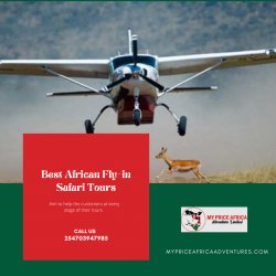 Best African Fly-in Safari Tours Meme Template