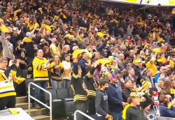 Bruins Fans Meme Template
