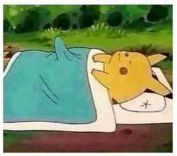 POKEMON IN BED WITH A WOODIE Meme Template