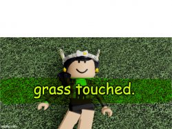 ineta_playz touches grass Meme Template