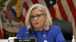 Liz Cheney Meme Template