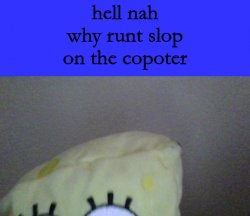 hell nah why runt slop on the copoter Meme Template